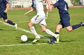 姚安娜成,中餐厅,新成员,BG真人链接,BG真人官网地址,BG真人官方平台,BG真人入口站点