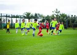 刘诗雯勇夺,乒乓球女子,世界杯冠军,BG真人链接,BG真人官网地址,BG真人官方平台,BG真人入口站点