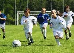 火箭,骑士或拟,交易求购斯,BG真人链接,BG真人官网地址,BG真人官方平台,BG真人入口站点