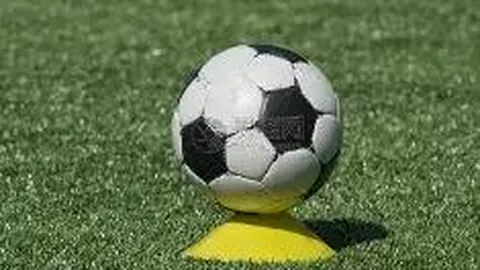 BG真人 资讯 100918 gem